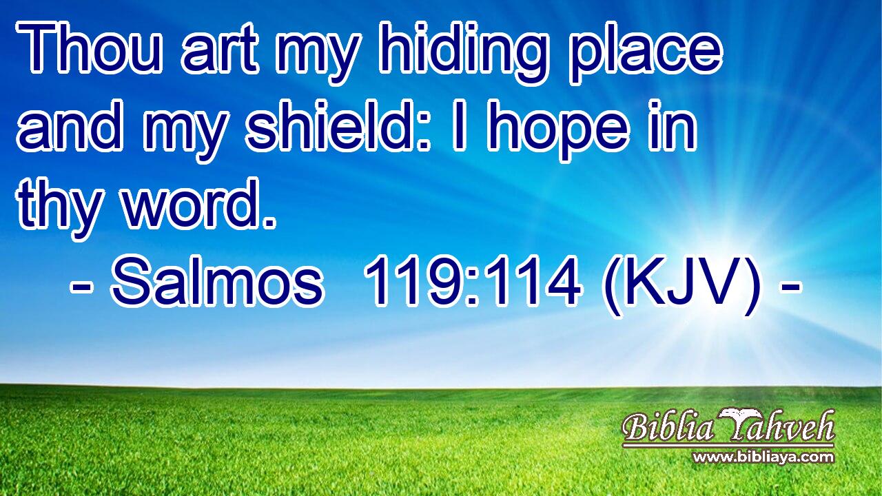 Thou art my hiding place and my shield: I hope in thy word.