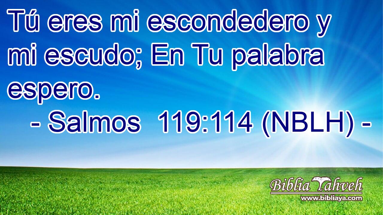  Tú eres mi escondedero y mi escudo; En Tu palabra espero. 
