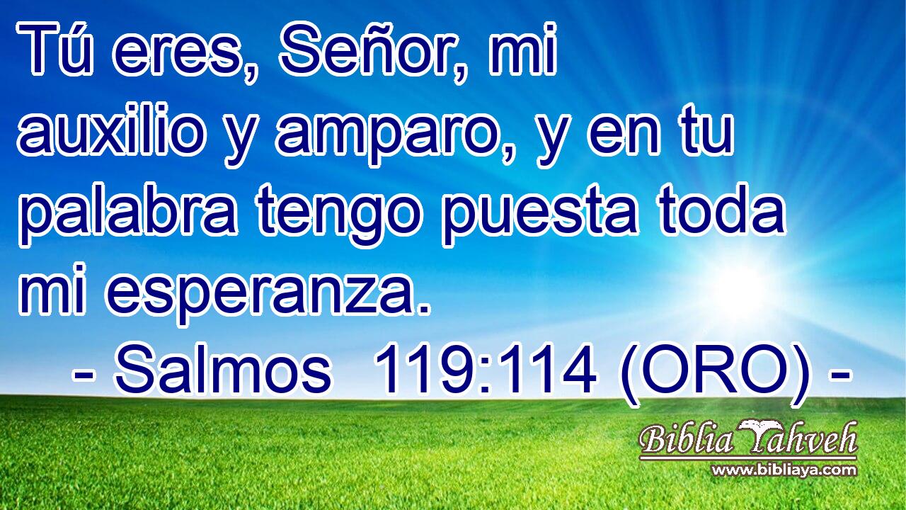  Tú eres, Señor, mi auxilio y amparo, y en tu palabra tengo puesta toda mi esperanza. 