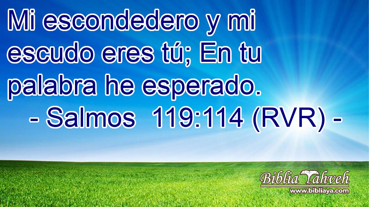 Mi escondedero y mi escudo eres tú; En tu palabra he esperado.