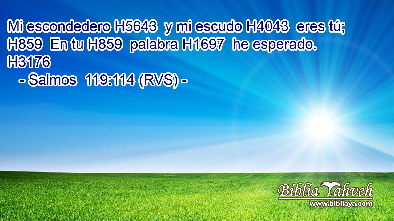 Mi escondedero H5643  y mi escudo H4043  eres tú; H859  En tu H859  palabra H1697  he esperado. H3176  