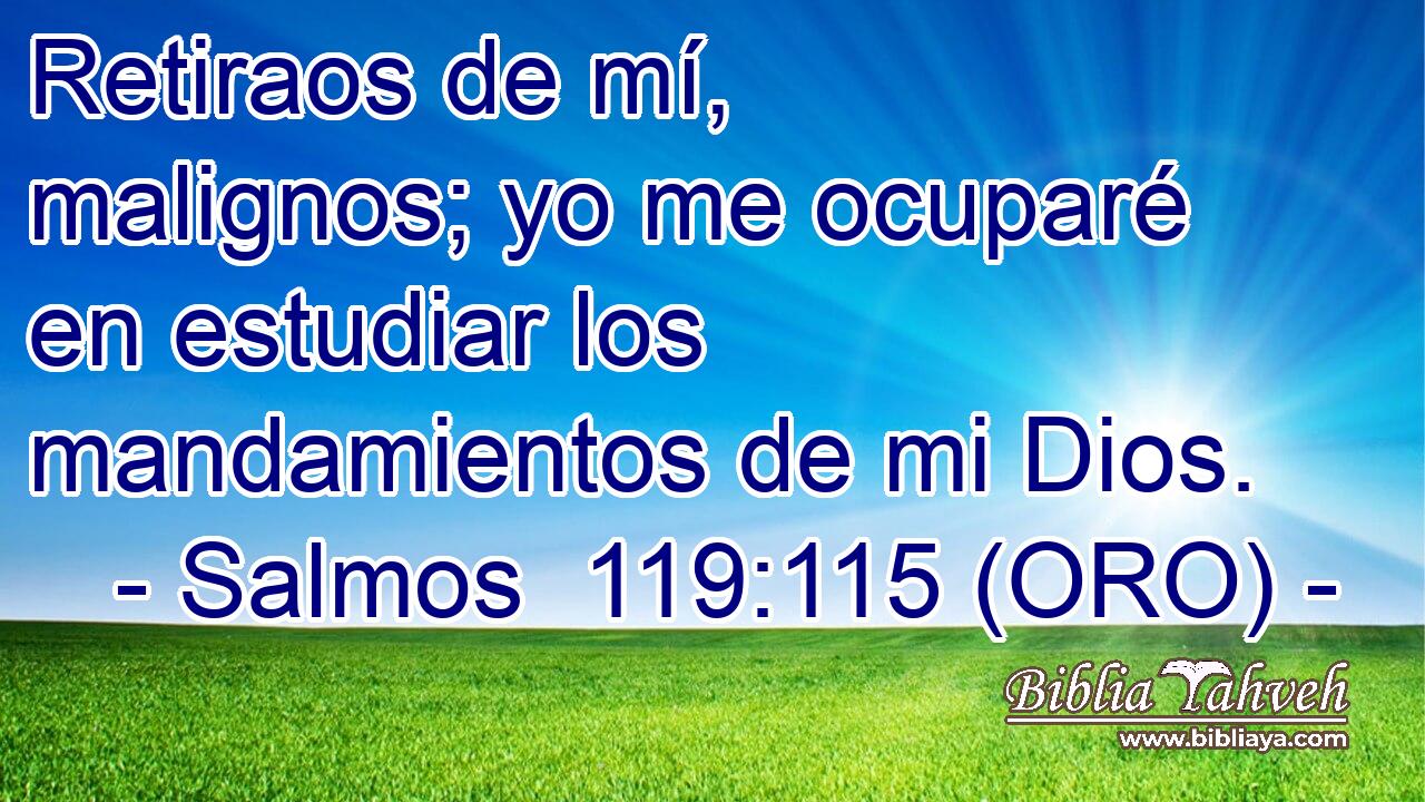  Retiraos de mí, malignos; yo me ocuparé en estudiar los mandamientos de mi Dios. 