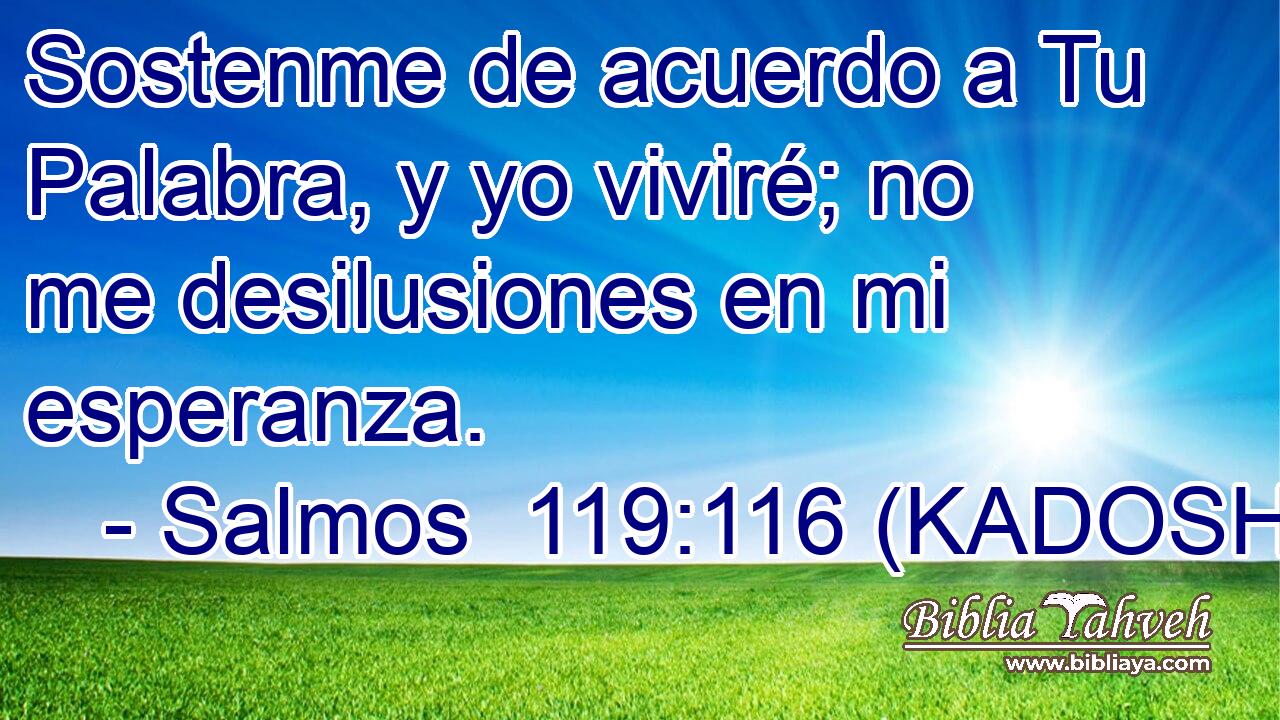  Sostenme de acuerdo a Tu Palabra, y yo viviré; no me desilusiones en mi esperanza. 