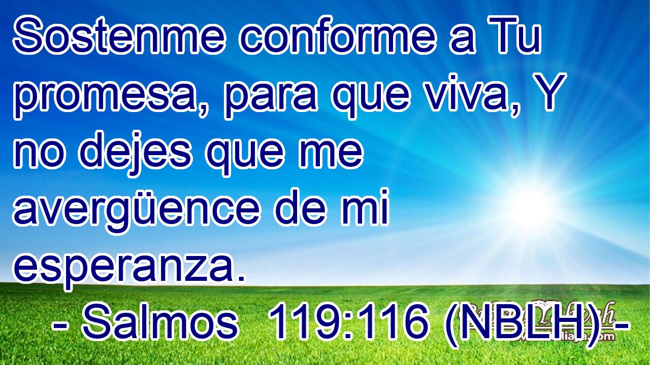  Sostenme conforme a Tu promesa, para que viva, Y no dejes que me avergüence de mi esperanza. 
