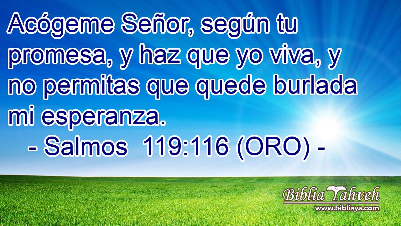 Acógeme Señor, según tu promesa, y haz que yo viva, y no permitas que quede burlada mi esperanza. 