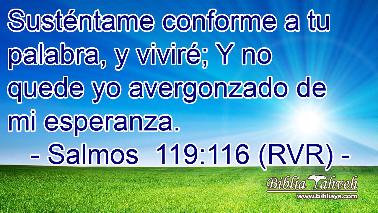 Susténtame conforme a tu palabra, y viviré; Y no quede yo avergonzado de mi esperanza.