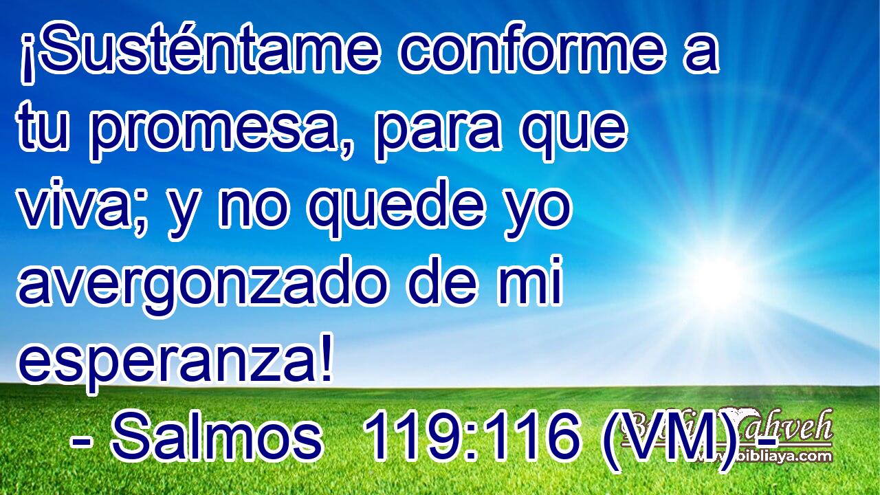  ¡Susténtame conforme a tu promesa, para que viva; y no quede yo avergonzado de mi esperanza! 