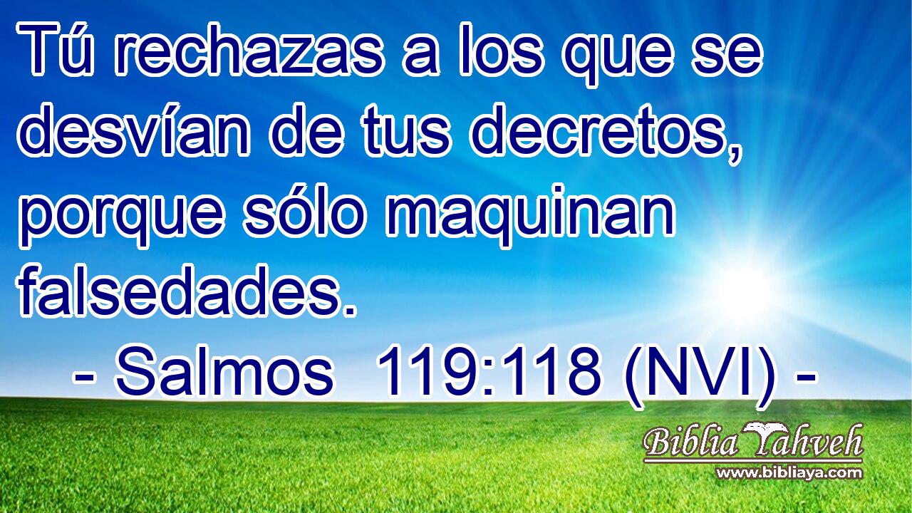 Tú rechazas a los que se desvían de tus decretos, porque sólo maquinan falsedades. 