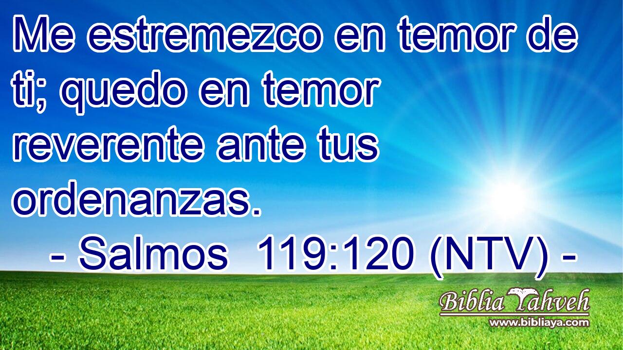 Me estremezco en temor de ti; quedo en temor reverente ante tus ordenanzas.