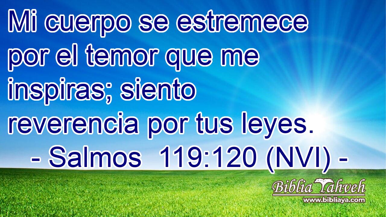  Mi cuerpo se estremece por el temor que me inspiras; siento reverencia por tus leyes. 
