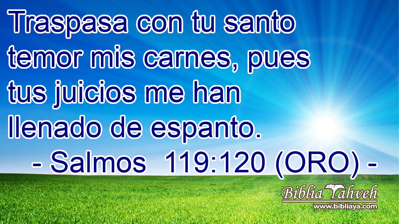  Traspasa con tu santo temor mis carnes, pues tus juicios me han llenado de espanto. 