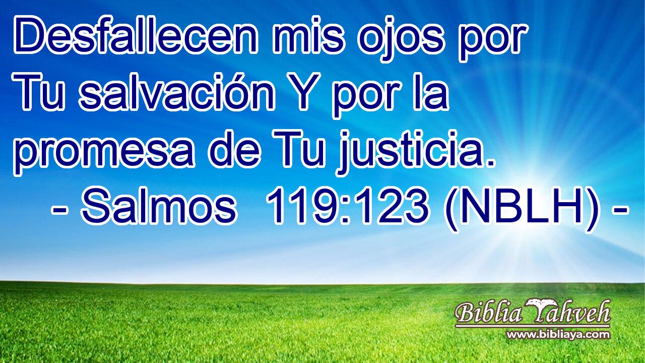  Desfallecen mis ojos por Tu salvación Y por la promesa de Tu justicia. 