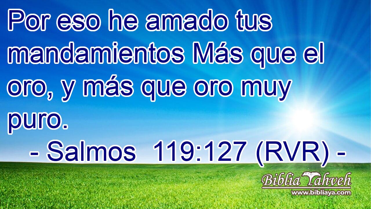 Por eso he amado tus mandamientos Más que el oro, y más que oro muy puro.