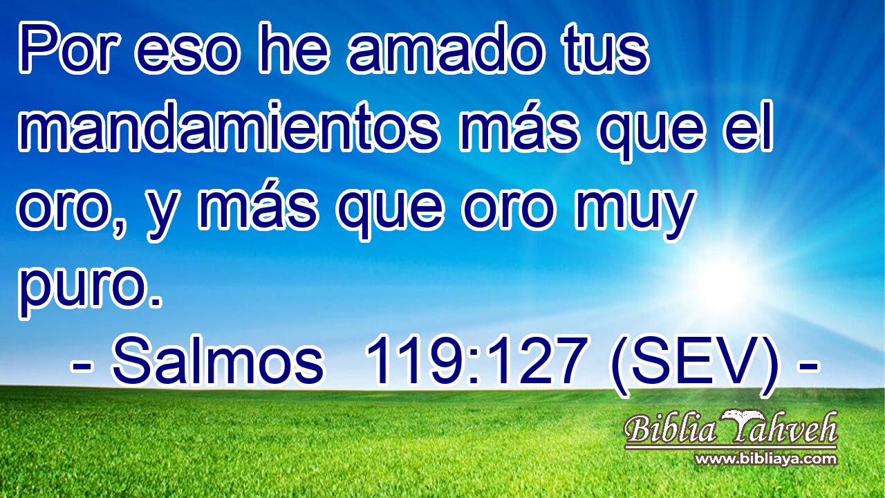 Por eso he amado tus mandamientos más que el oro, y más que oro muy puro.