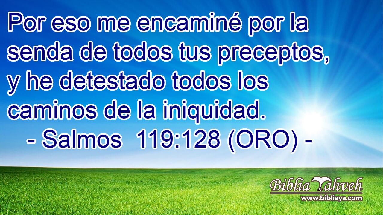  Por eso me encaminé por la senda de todos tus preceptos, y he detestado todos los caminos de la iniquidad. 