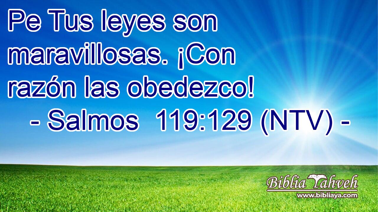 Pe Tus leyes son maravillosas. ¡Con razón las obedezco!