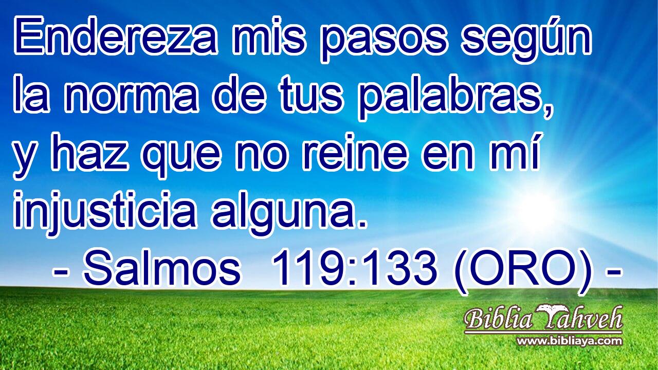  Endereza mis pasos según la norma de tus palabras, y haz que no reine en mí injusticia alguna. 