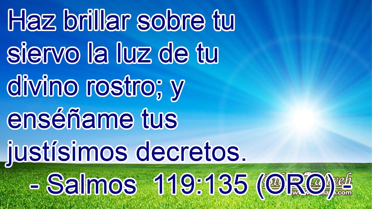  Haz brillar sobre tu siervo la luz de tu divino rostro; y enséñame tus justísimos decretos. 