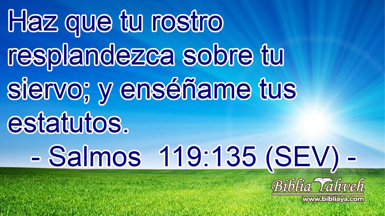 Haz que tu rostro resplandezca sobre tu siervo; y enséñame tus estatutos.