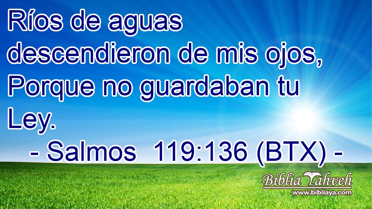 Ríos de aguas descendieron de mis ojos, Porque no guardaban tu Ley.