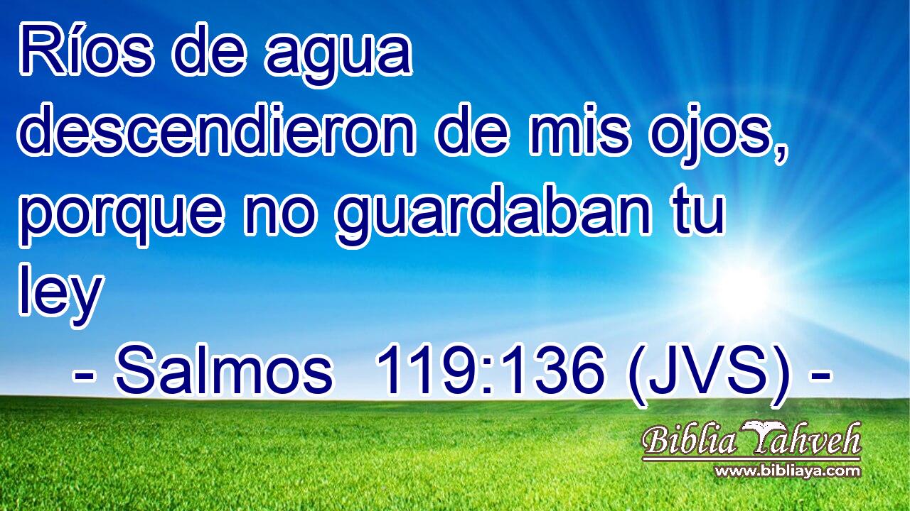 Ríos de agua descendieron de mis ojos, porque no guardaban tu ley