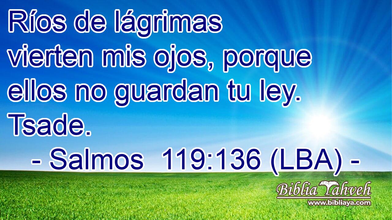 Ríos de lágrimas vierten mis ojos, porque ellos no guardan tu ley. Tsade.