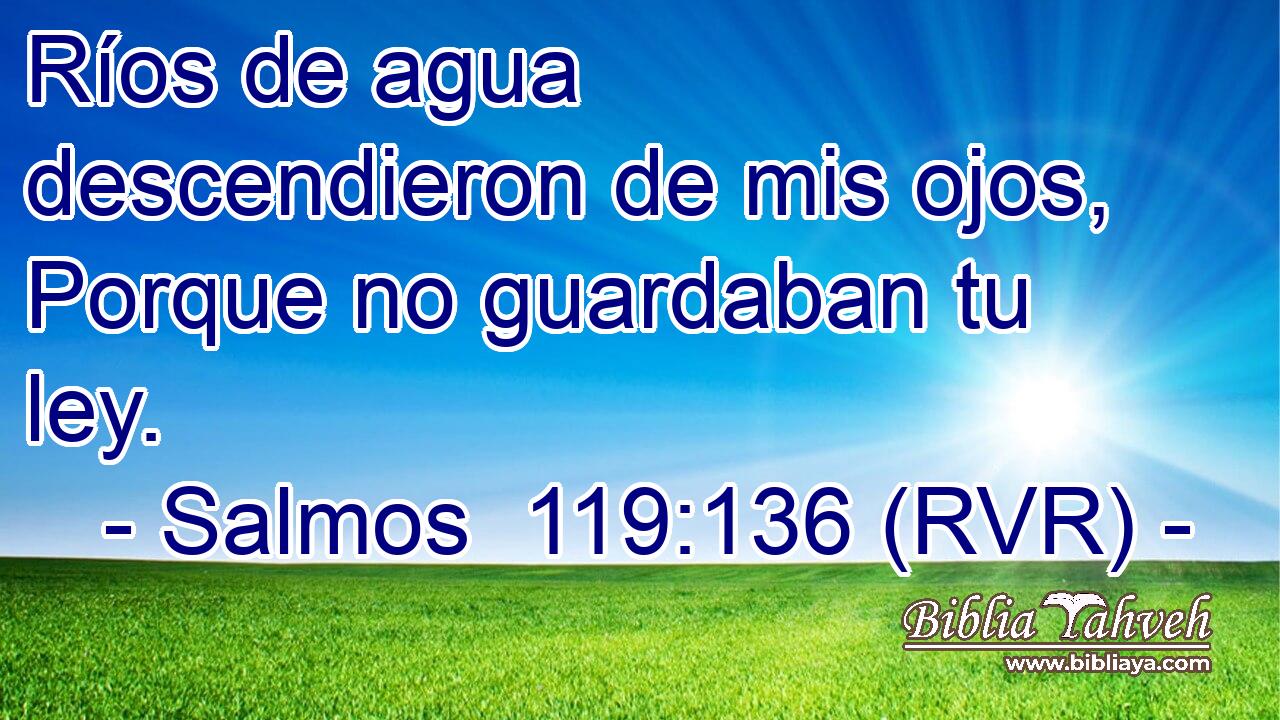 Ríos de agua descendieron de mis ojos, Porque no guardaban tu ley.