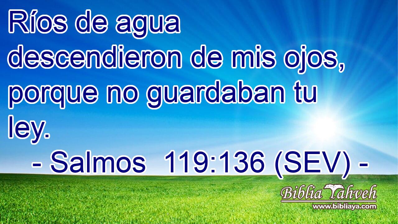Ríos de agua descendieron de mis ojos, porque no guardaban tu ley.