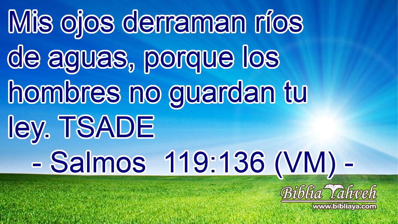  Mis ojos derraman ríos de aguas, porque los hombres no guardan tu ley. TSADE 