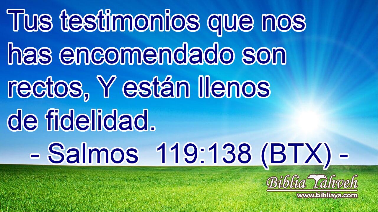 Tus testimonios que nos has encomendado son rectos, Y están llenos de fidelidad.