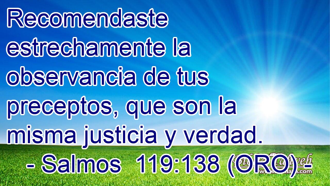  Recomendaste estrechamente la observancia de tus preceptos, que son la misma justicia y verdad. 