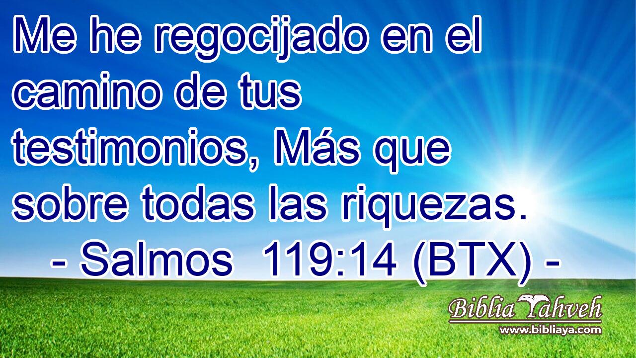 Me he regocijado en el camino de tus testimonios, Más que sobre todas las riquezas.