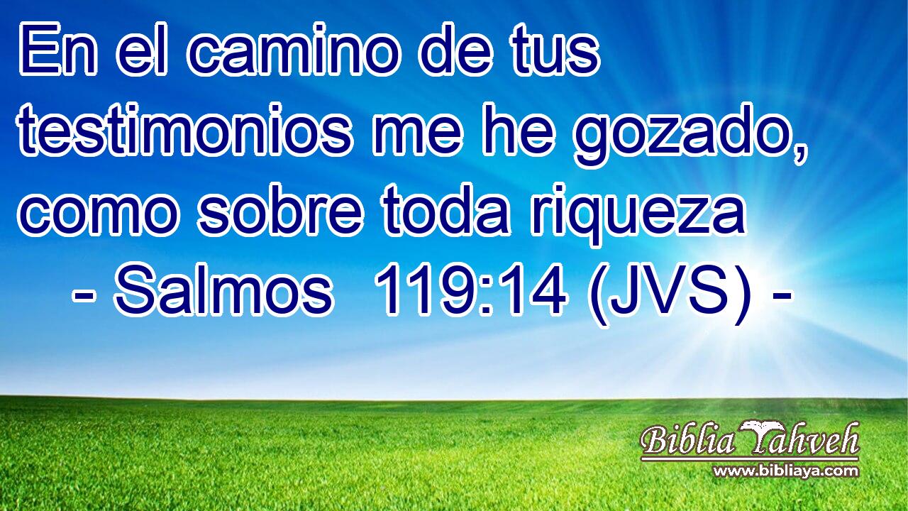 En el camino de tus testimonios me he gozado, como sobre toda riqueza