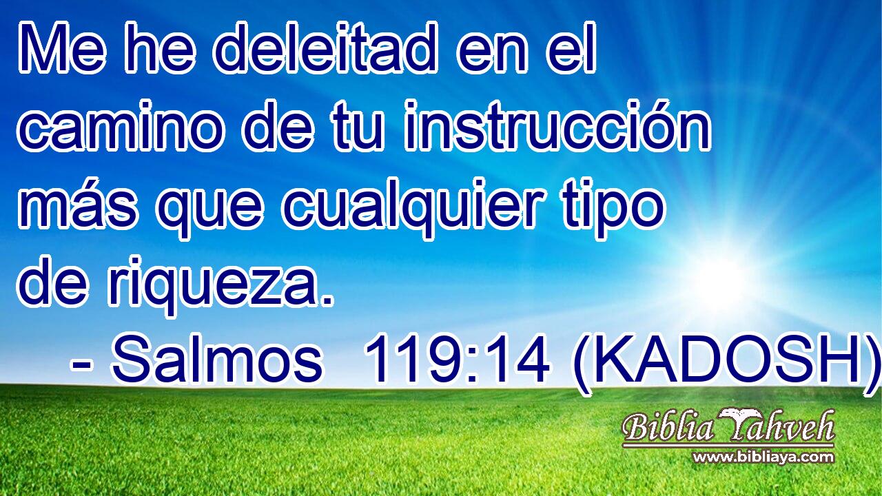  Me he deleitad en el camino de tu instrucción más que cualquier tipo de riqueza. 
