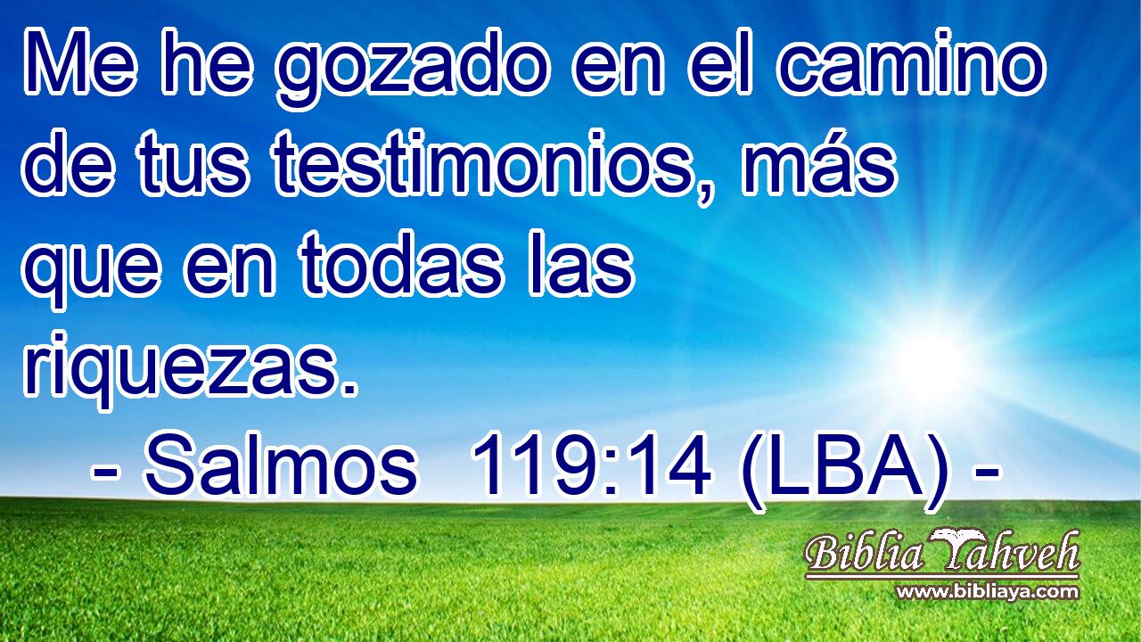 Me he gozado en el camino de tus testimonios, más que en todas las riquezas.