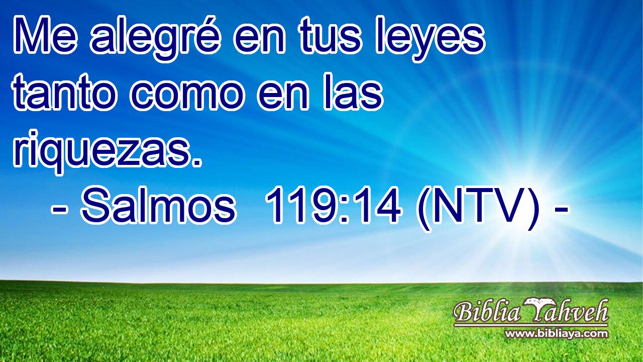 Me alegré en tus leyes tanto como en las riquezas.
