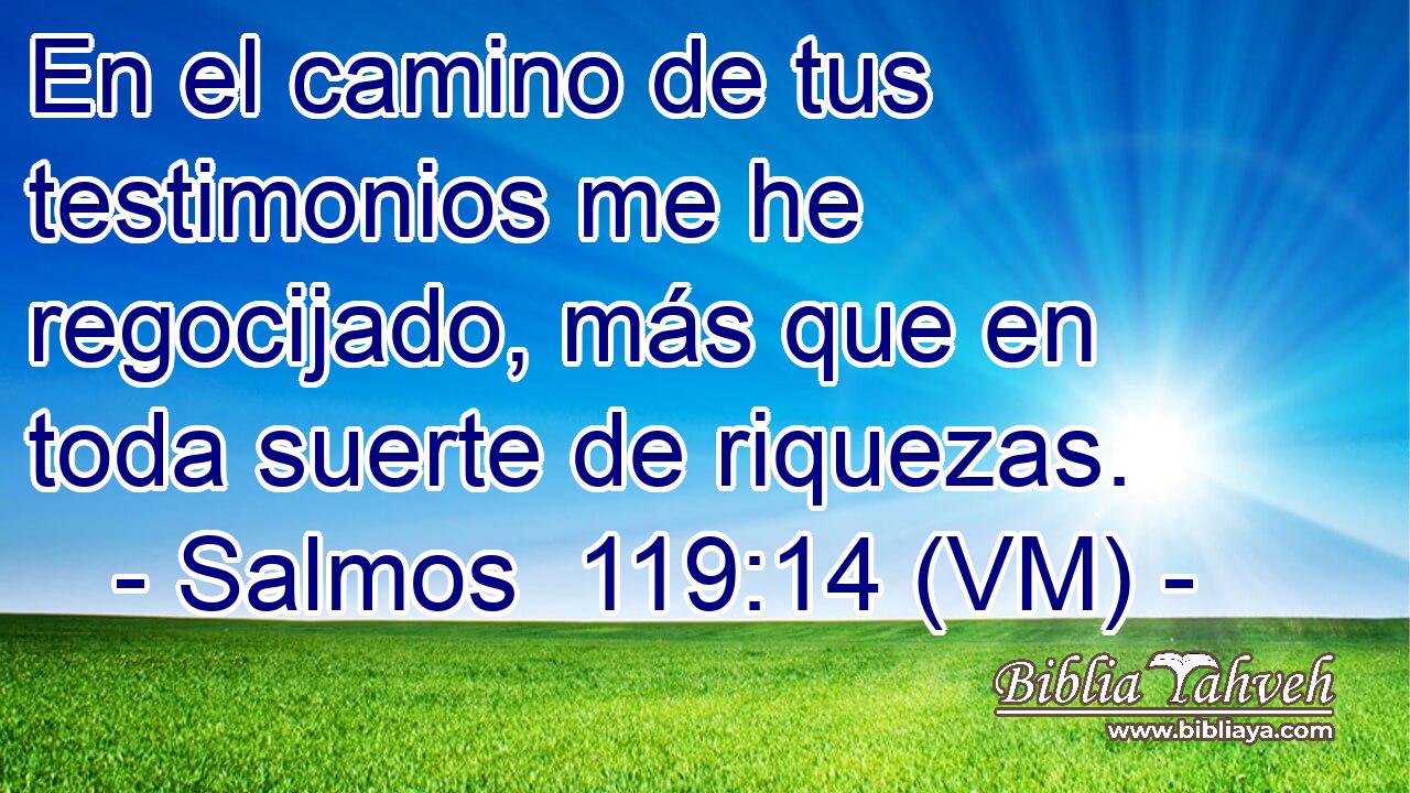  En el camino de tus testimonios me he regocijado, más que en toda suerte de riquezas. 