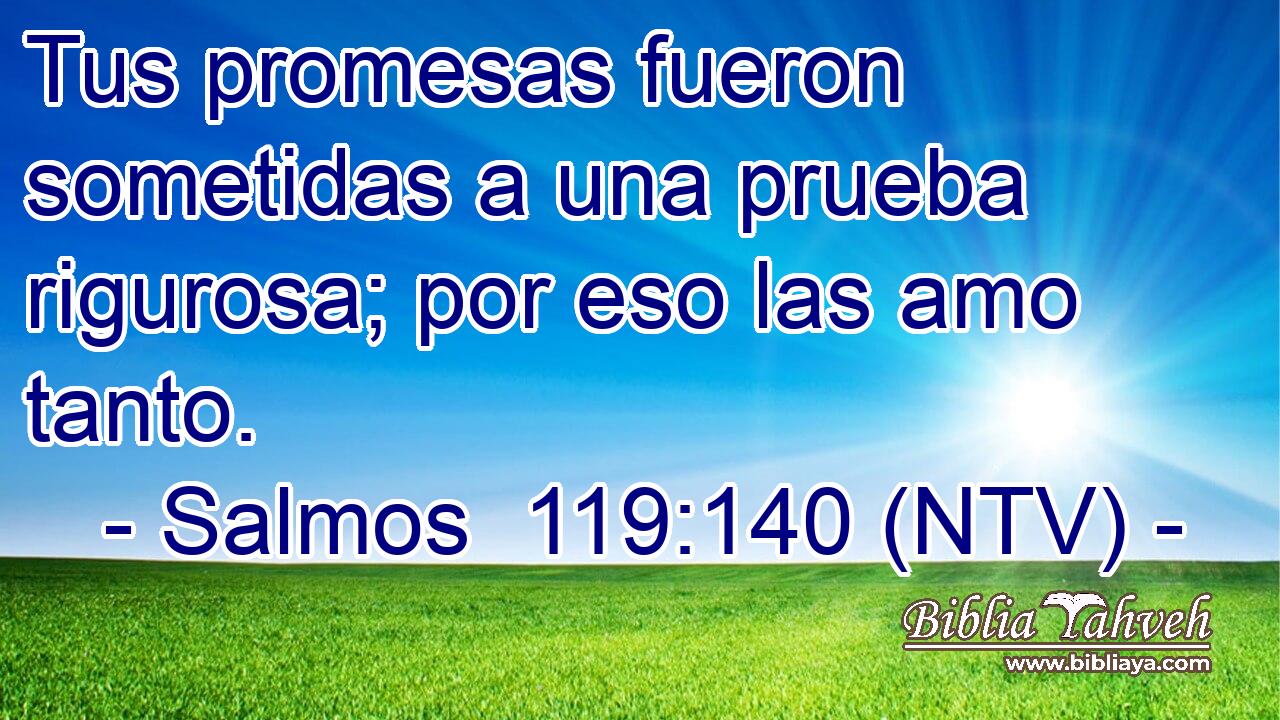 Tus promesas fueron sometidas a una prueba rigurosa; por eso las amo tanto.