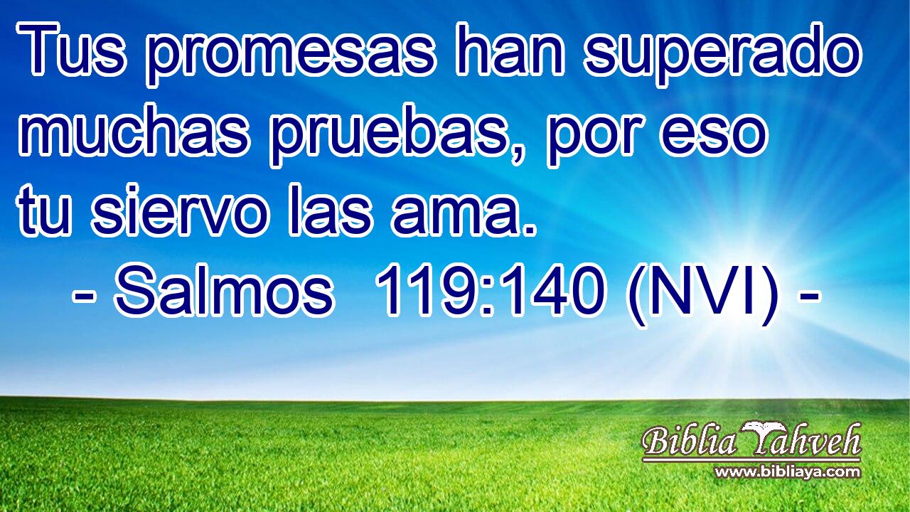  Tus promesas han superado muchas pruebas, por eso tu siervo las ama. 