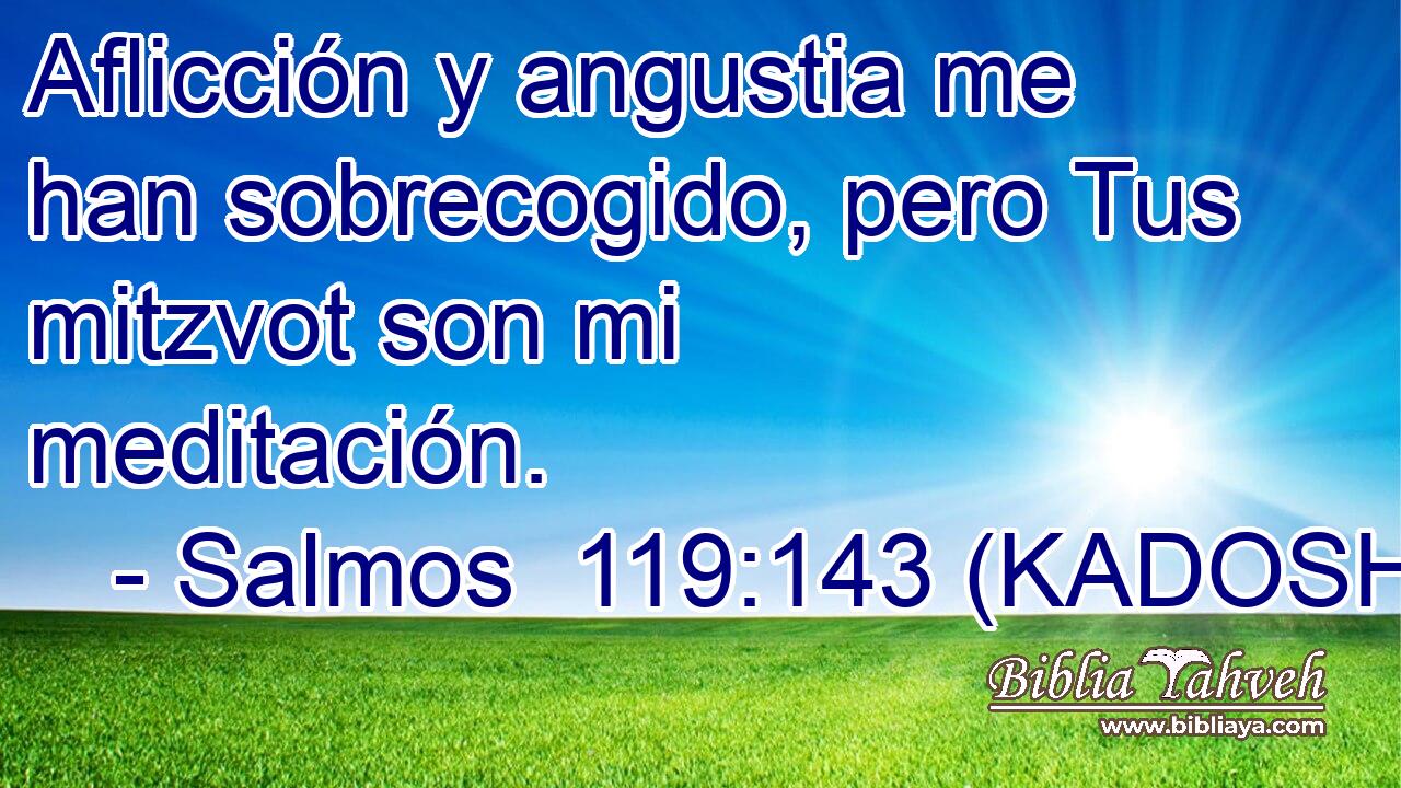  Aflicción y angustia me han sobrecogido, pero Tus mitzvot son mi meditación. 