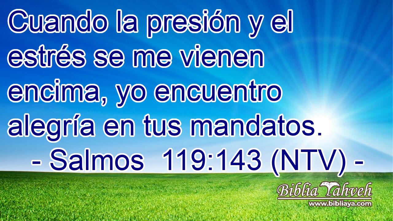 Cuando la presión y el estrés se me vienen encima, yo encuentro alegría en tus mandatos.