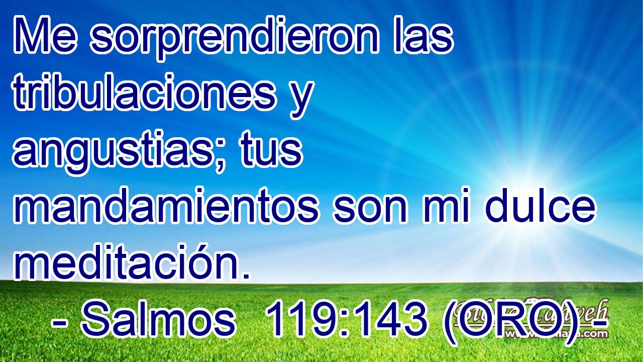 Me sorprendieron las tribulaciones y angustias; tus mandamientos son mi dulce meditación. 