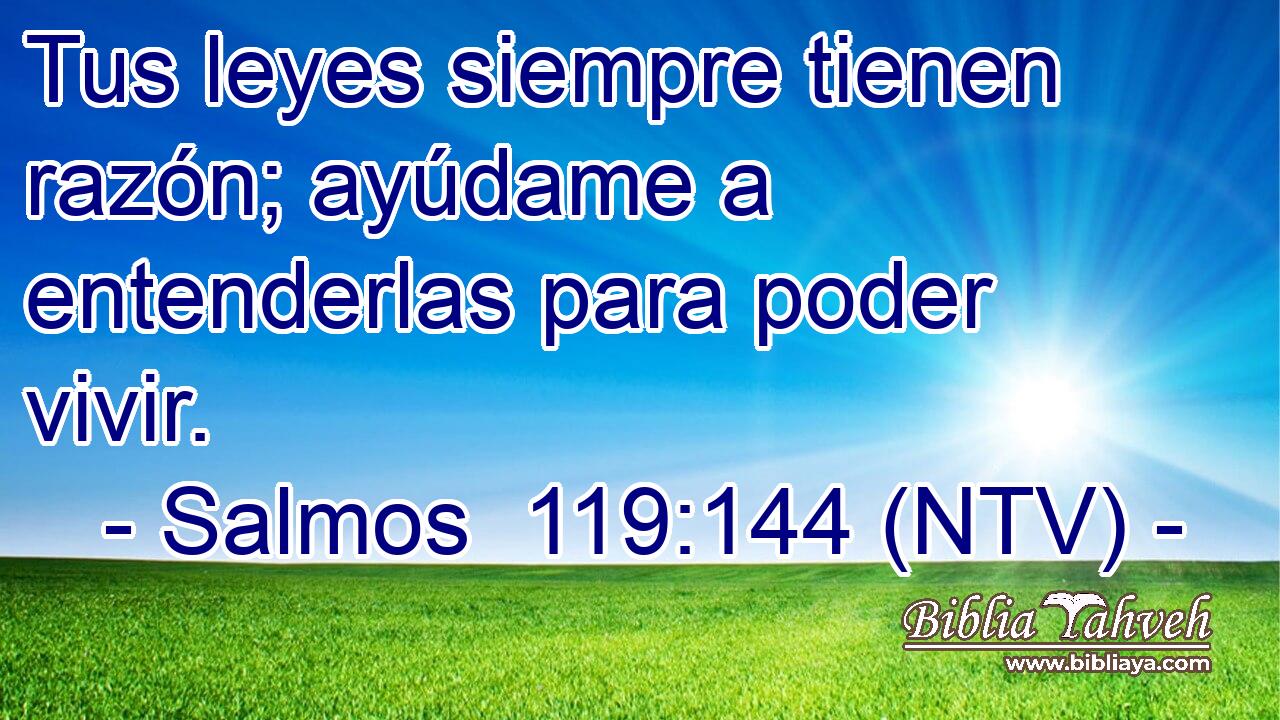 Tus leyes siempre tienen razón; ayúdame a entenderlas para poder vivir.