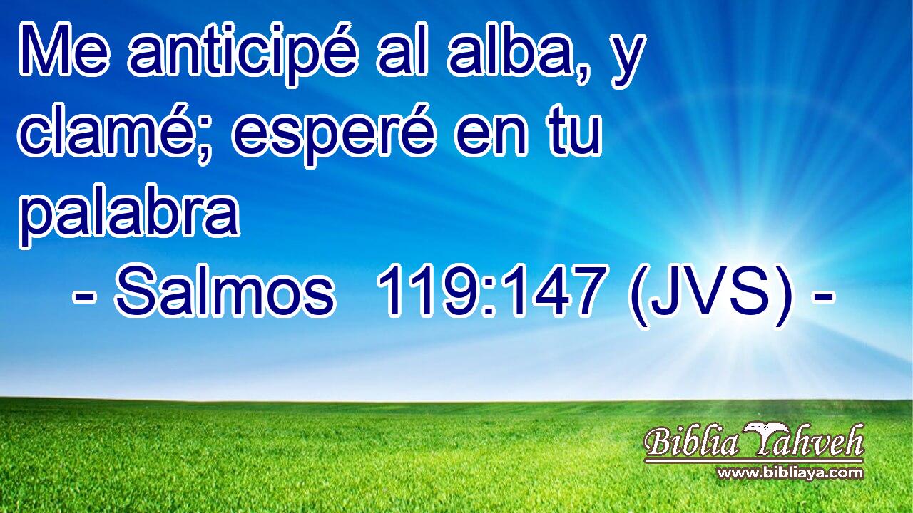 Me anticipé al alba, y clamé; esperé en tu palabra