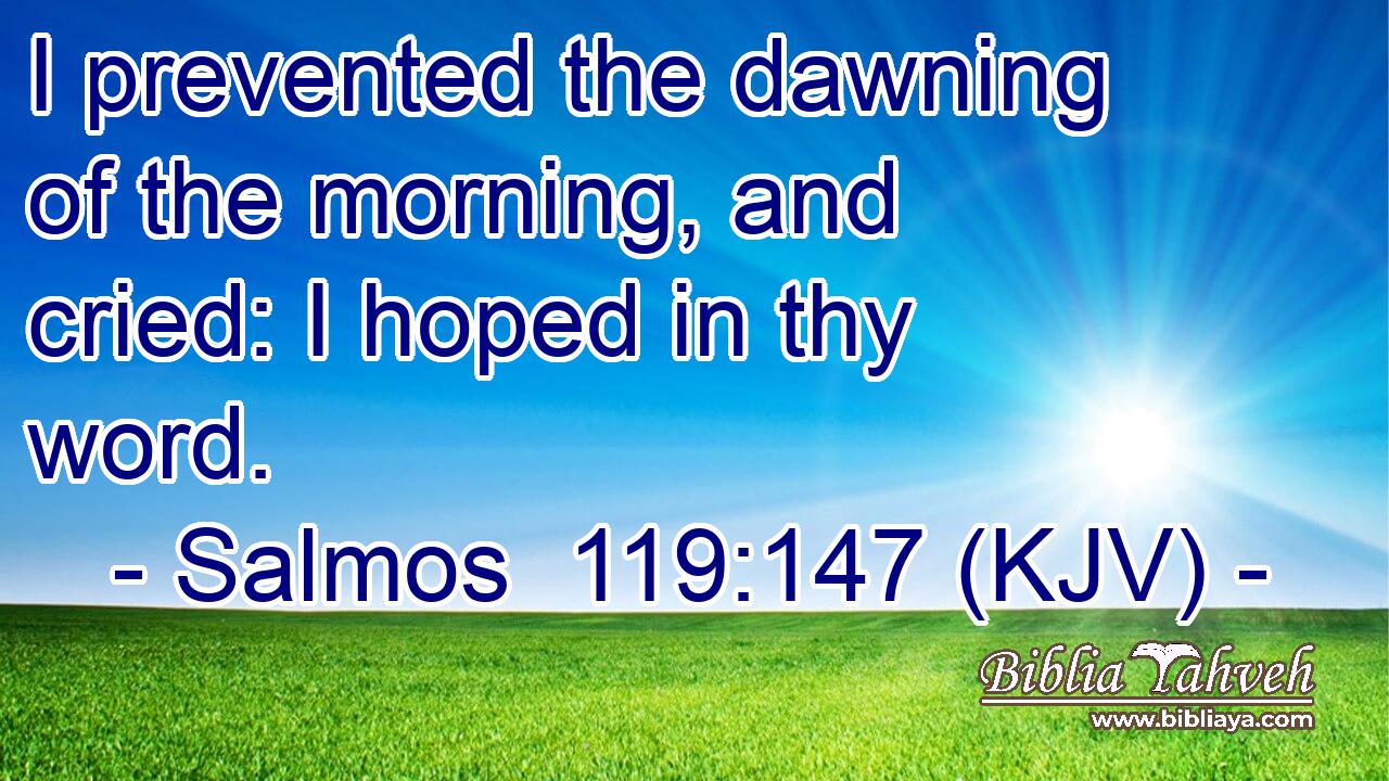 I prevented the dawning of the morning, and cried: I hoped in thy word.