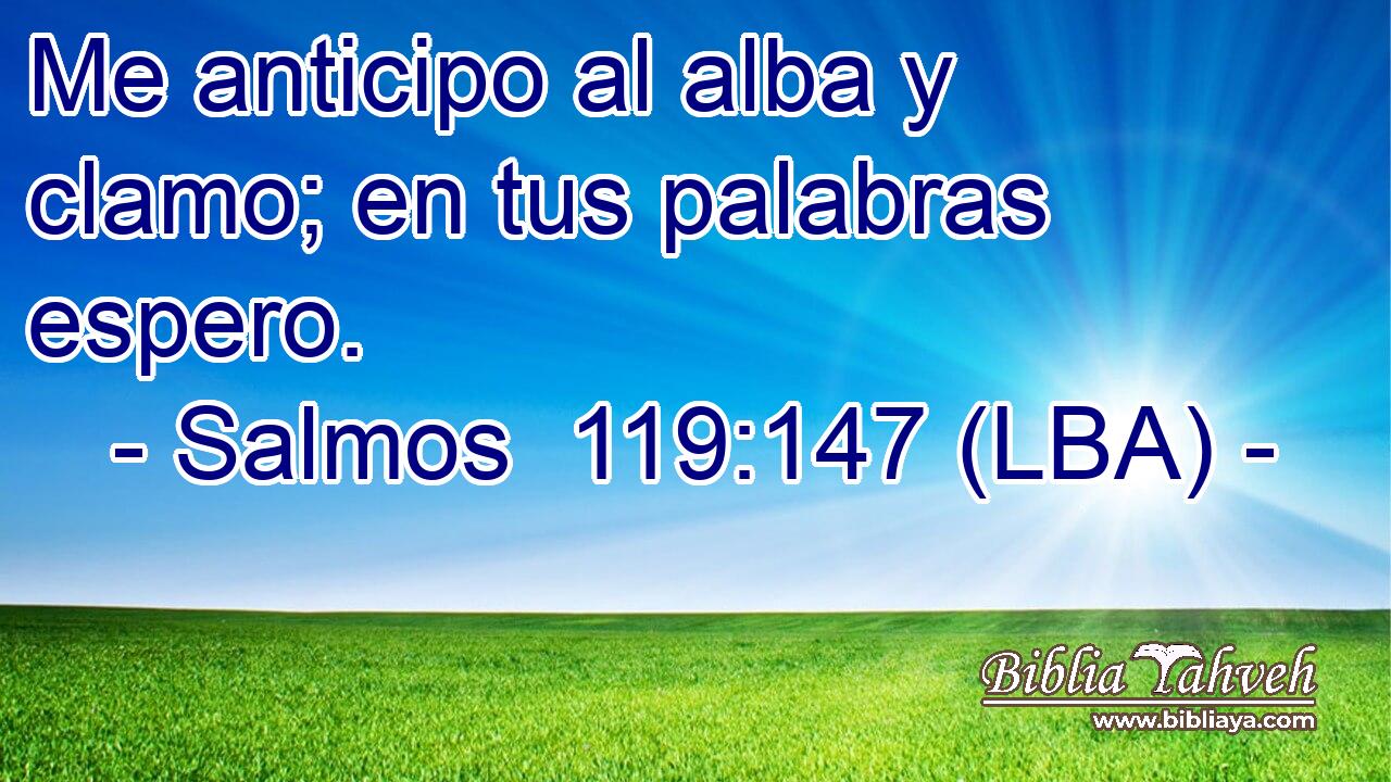 Me anticipo al alba y clamo; en tus palabras espero.