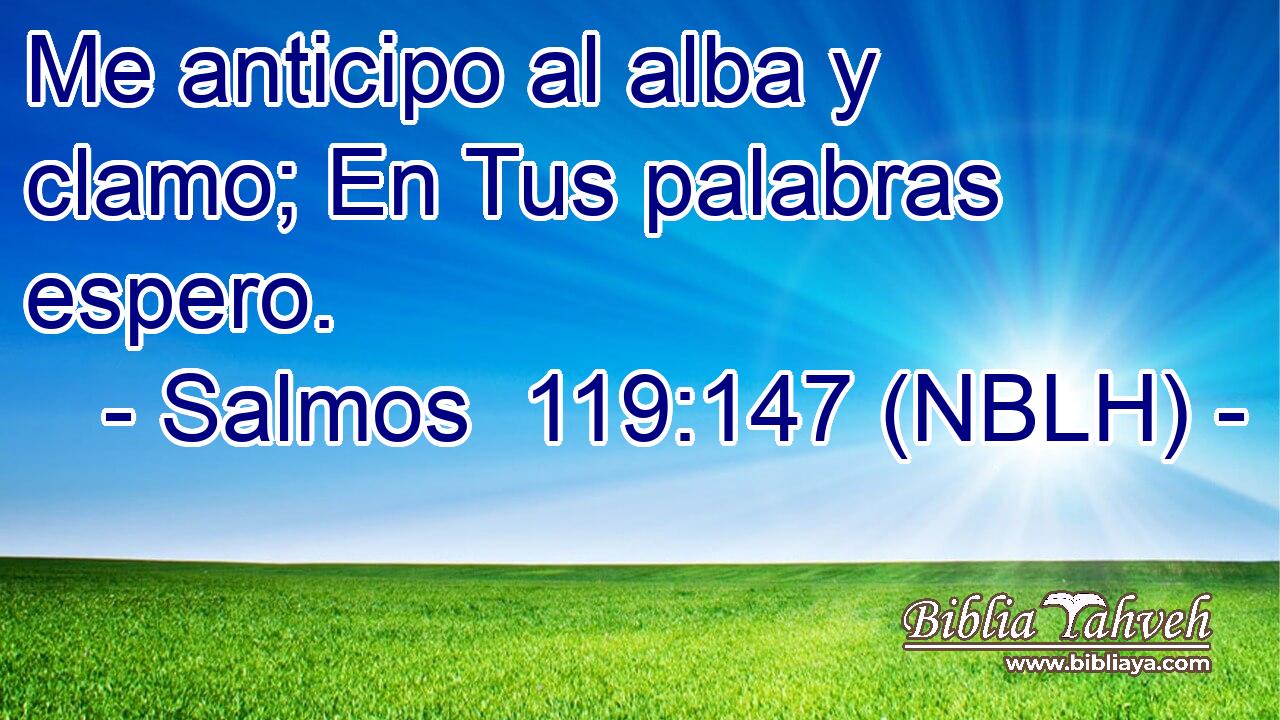  Me anticipo al alba y clamo; En Tus palabras espero. 
