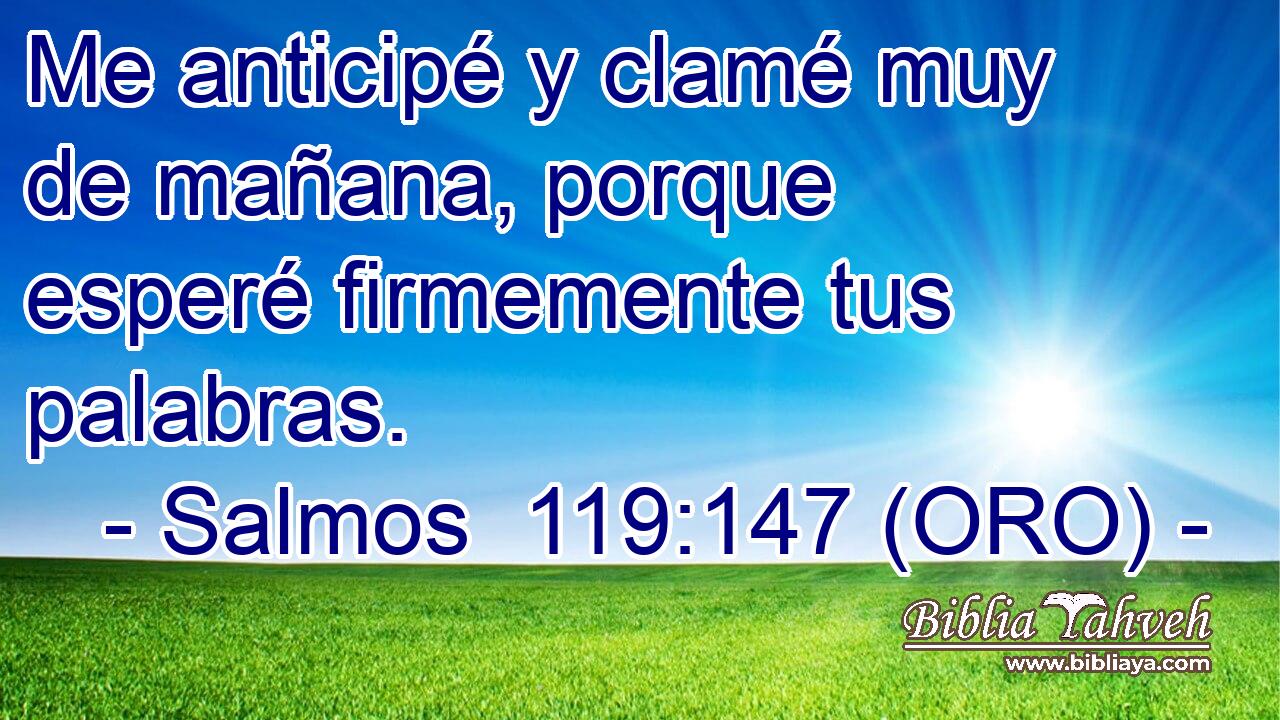  Me anticipé y clamé muy de mañana, porque esperé firmemente tus palabras. 