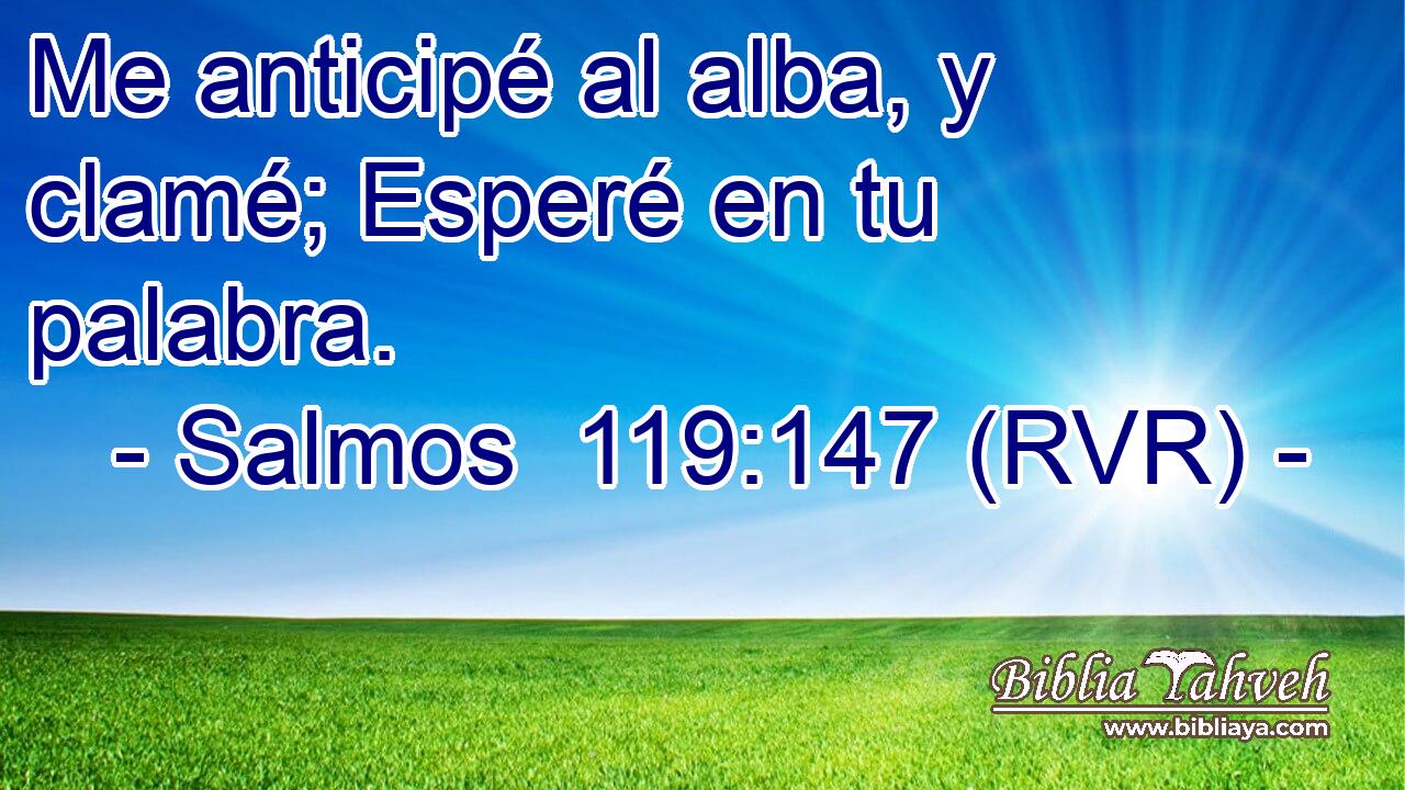 Me anticipé al alba, y clamé; Esperé en tu palabra.