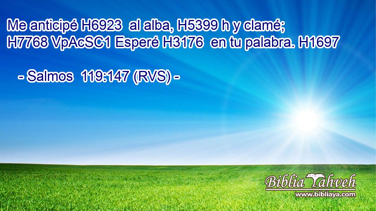 Me anticipé H6923  al alba, H5399 h y clamé; H7768 VpAcSC1 Esperé H3176  en tu palabra. H1697  